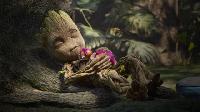 Click to watch 'Are You My Groot?' (popup) I Am Groot